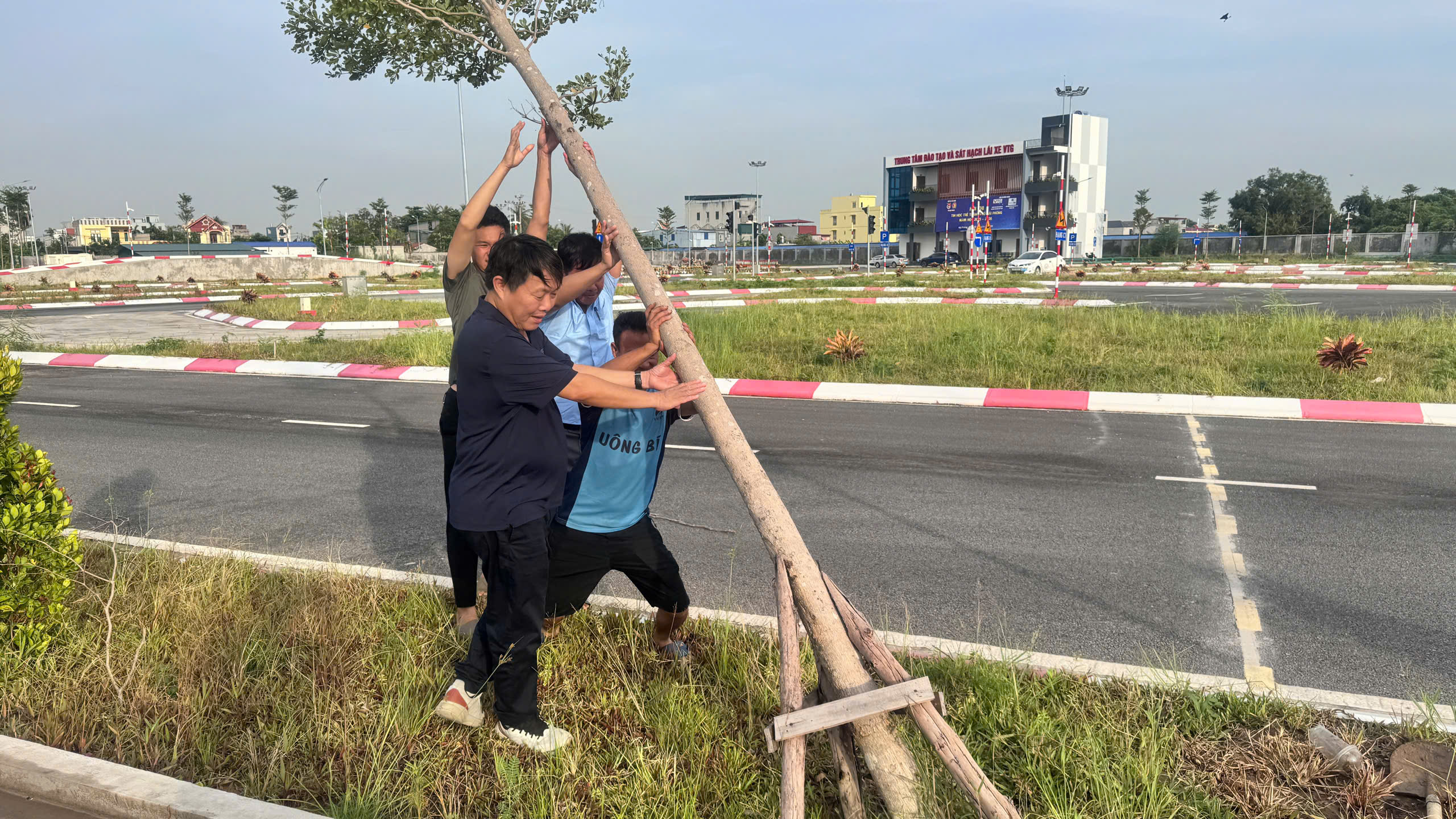 CHUNG TAY TRỒNG LẠI CÂY XANH SAU TRẬN MƯA GIÔNG TẠI VTG